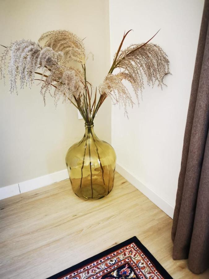 Vida Y Mar Apartamentos Peñíscola Екстериор снимка